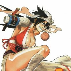 Hobby Zone Bleach Manga Collection Bleach Merchandise