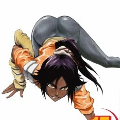 Hobby Zone Bleach Manga Collection Bleach Merchandise