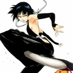 Hobby Zone Bleach Manga Collection Bleach Merchandise