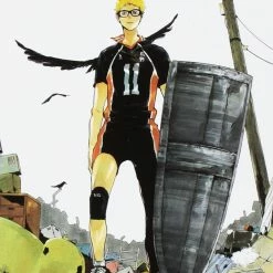 Hobby Zone Haikyu!! Manga Collection Latest Arrival