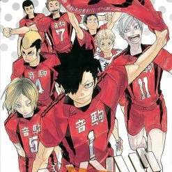 Hobby Zone Haikyu!! Manga Collection Latest Arrival