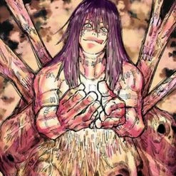 Hobby Zone Jujutsu Kaisen Manga Collection