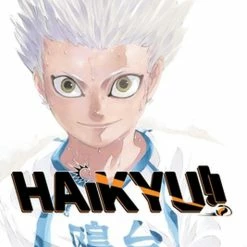 Hobby Zone Haikyu!! Manga Collection Latest Arrival