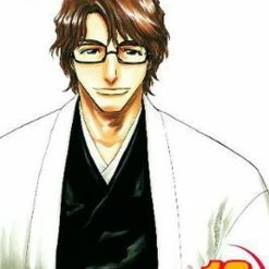 Hobby Zone Bleach Merchandise Bleach Manga Collection