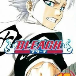Hobby Zone Bleach Merchandise Bleach Manga Collection