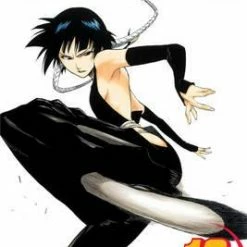 Hobby Zone Bleach Merchandise Bleach Manga Collection