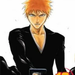 Hobby Zone Bleach Merchandise Bleach Manga Collection