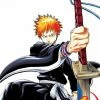 Hobby Zone Bleach Merchandise Bleach Manga Collection