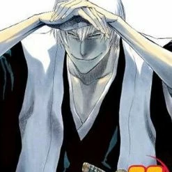 Hobby Zone Bleach Merchandise Bleach Manga Collection
