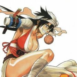 Hobby Zone Bleach Merchandise Bleach Manga Collection