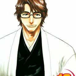 Hobby Zone Bleach Manga Collection Bleach Merchandise