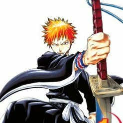 Hobby Zone Bleach Manga Collection Bleach Merchandise