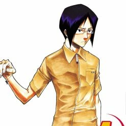 Hobby Zone Bleach Manga Collection Bleach Merchandise