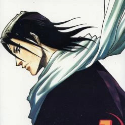 Hobby Zone Bleach Manga Collection Bleach Merchandise